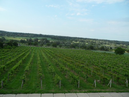 4. deň, 3. zastávka: obec Viničky