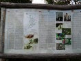 /album/fotogaleria/sam-1108-jpg/