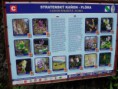 /album/fotogaleria/sam-1159-jpg/